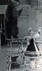 Эльвина Подчерникова