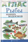 Бровкина, Е.Т. Рыбы наших водоемов