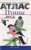 Бровкина Е.Т. Птицы леса