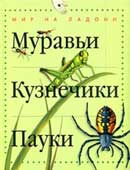 Муравьи. Кузнечики. Пауки