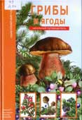 Афонькин, С.Ю. Грибы и ягоды : школьный путеводитель